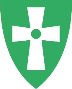 Kokk