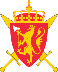 Kokk med fagbrev