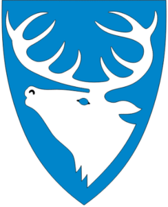 Kokk