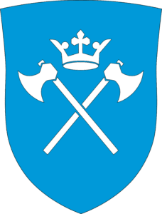 Institusjonskokk
